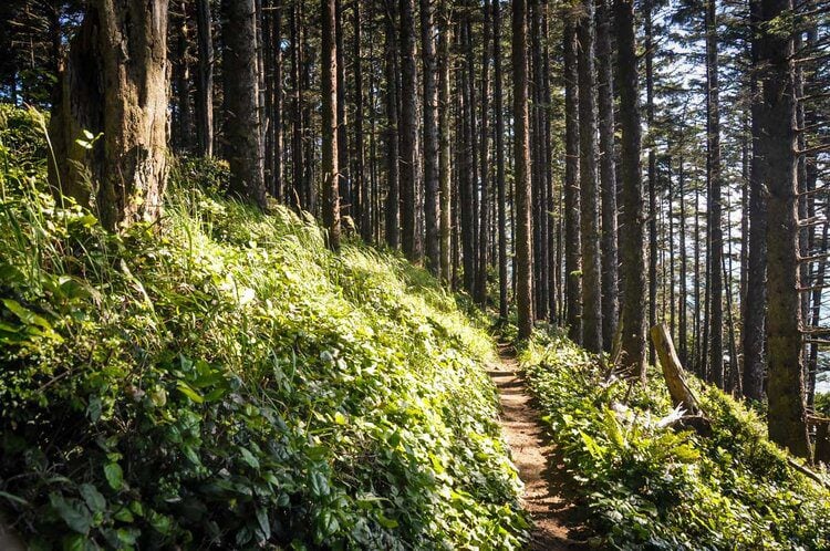 Samuel H. Boardman State Scenic Corridor