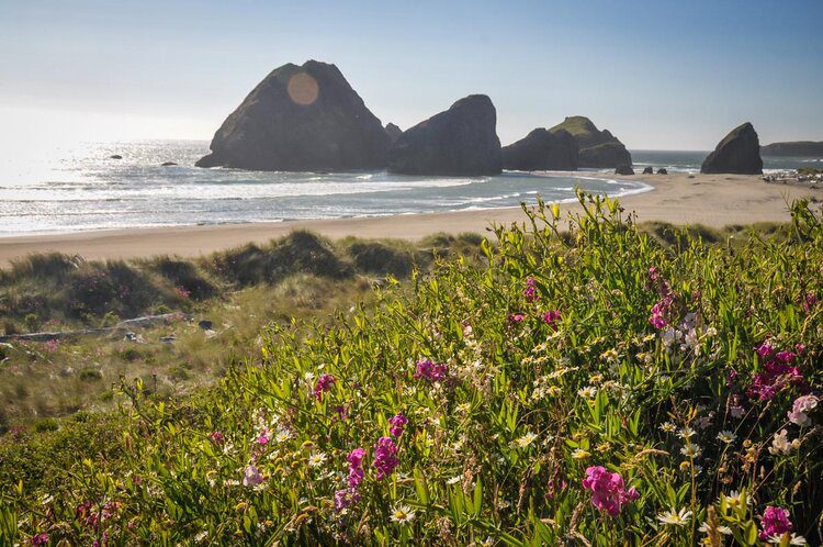 Samuel H. Boardman State Scenic Corridor