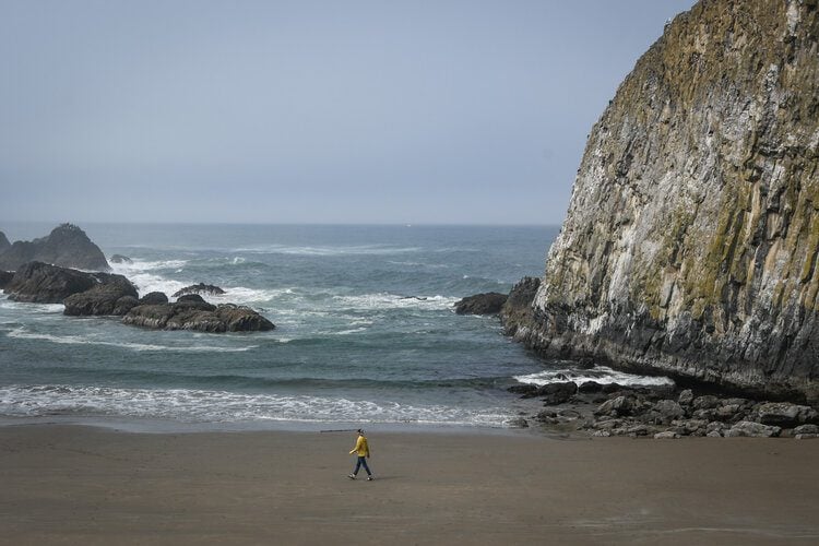 Oregon Coast Road Trip Seal Rock