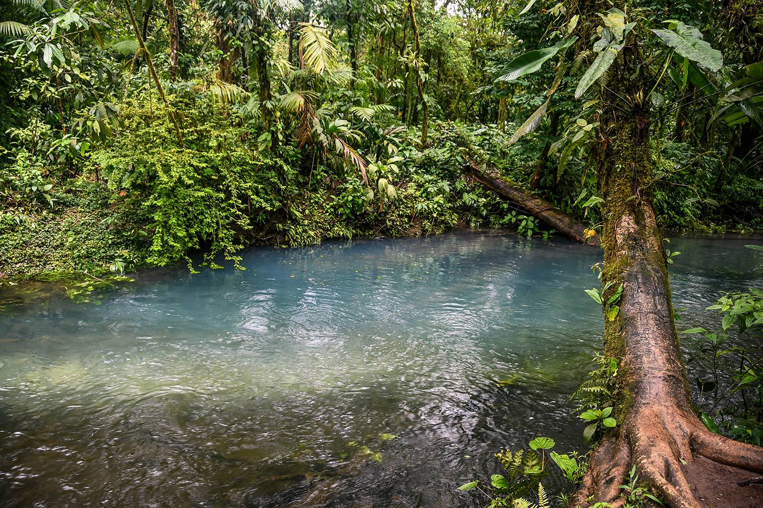 Things to do in Arenal Costa Rica Rio Celeste River Minerals