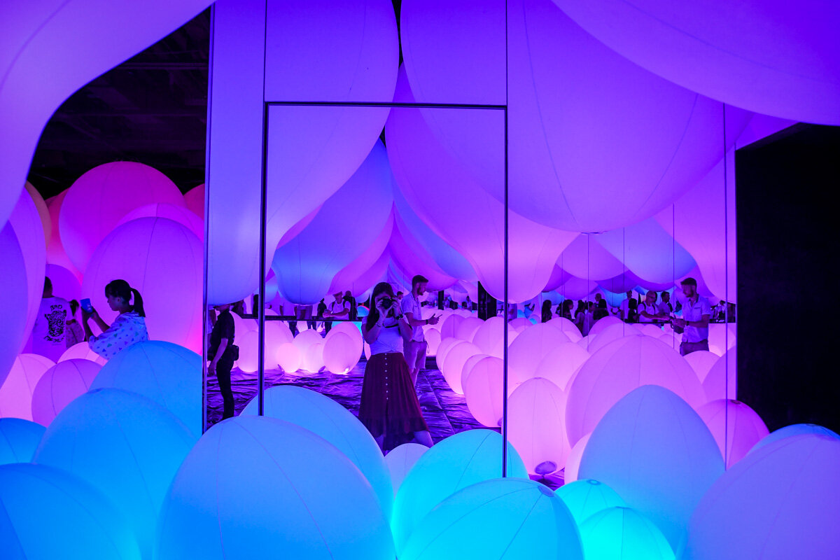 teamLab Borderless Tokyo Guide Weightless Forest of Resonating Life