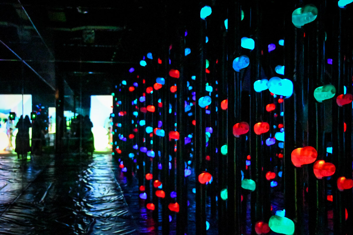 teamLab Borderless Tokyo Guide Athletics Park