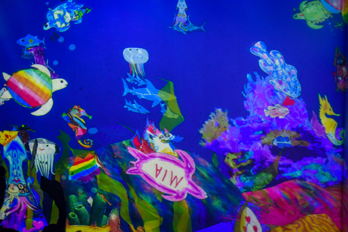 teamLab Borderless Tokyo Guide Futures Park