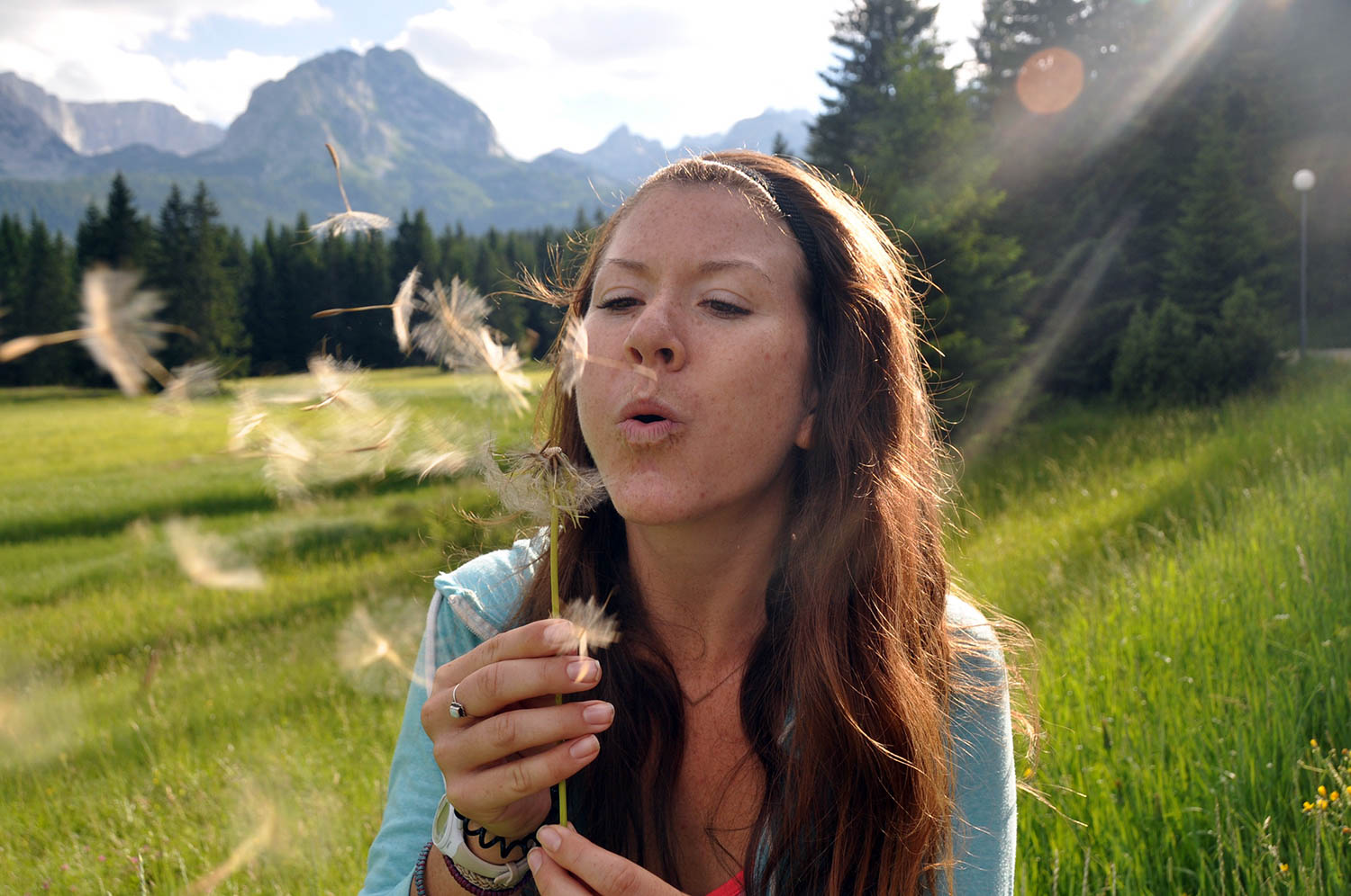 Dandelion Blow Wind Zabljak Montenegro