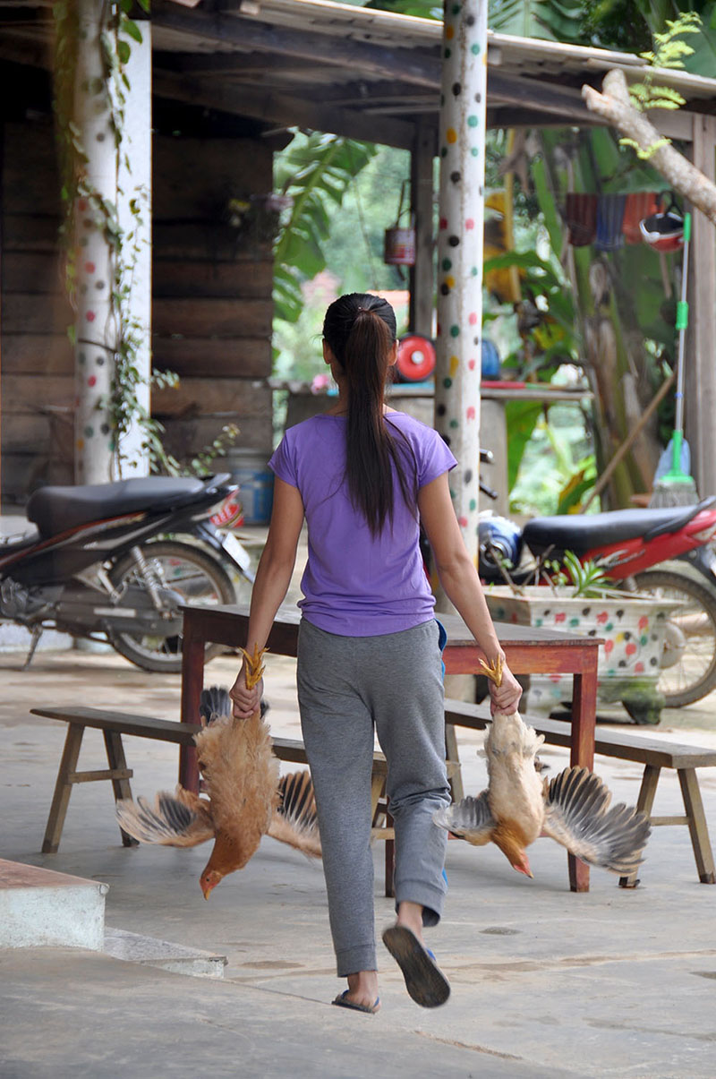 Fresh Chicken Pub with Cold Beer Phong Nha Vietnam