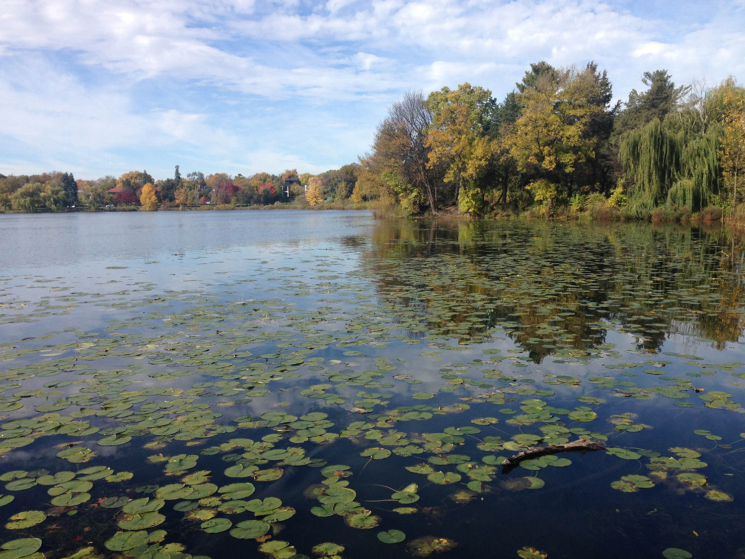 Fun things to do in Minnesota in the Fall