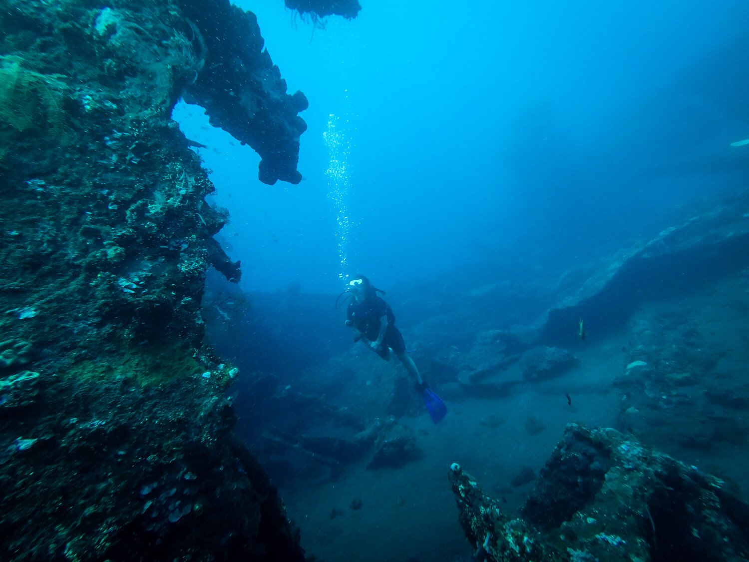 Amed Bali Scuba Diving USAT Liberty Dive