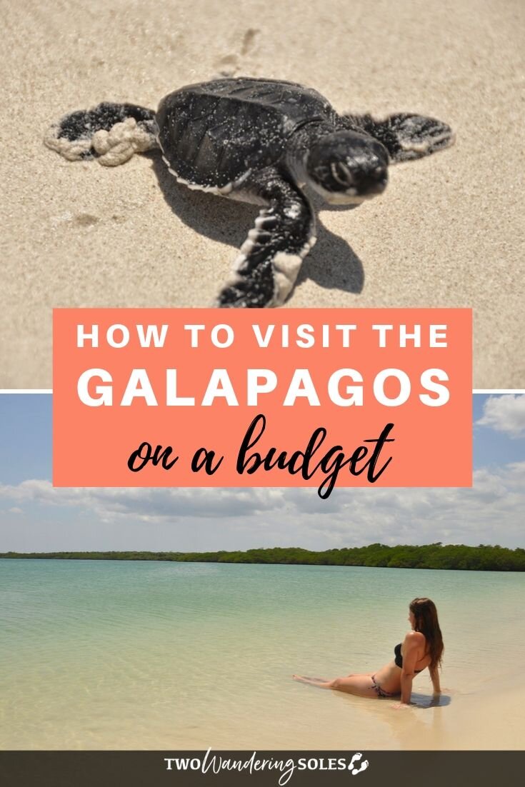 Galápagos on a Budget