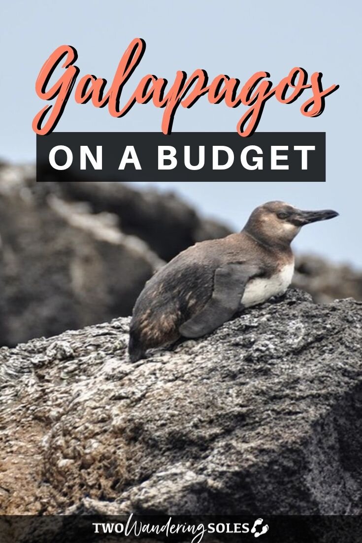 Galápagos on a Budget