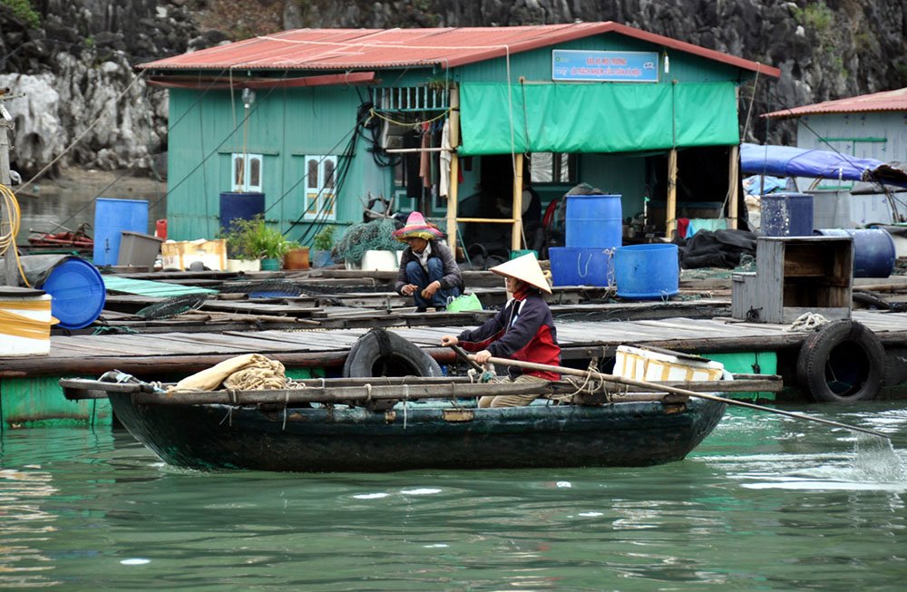 Ha Long Bay Local Fishing Vietnam Itinerary