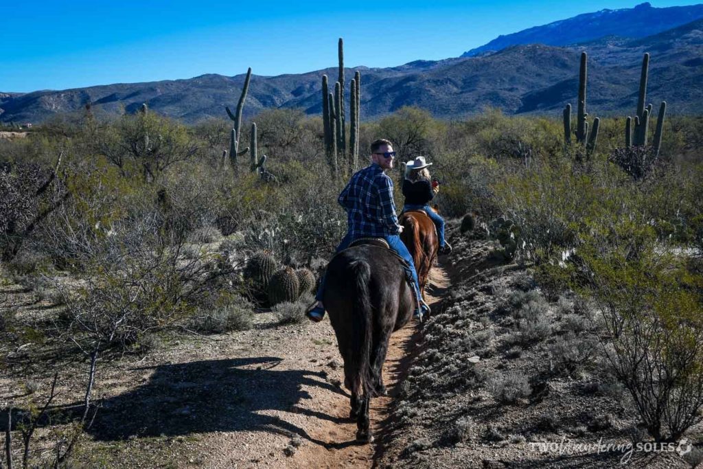 Houstons Horseback Riding