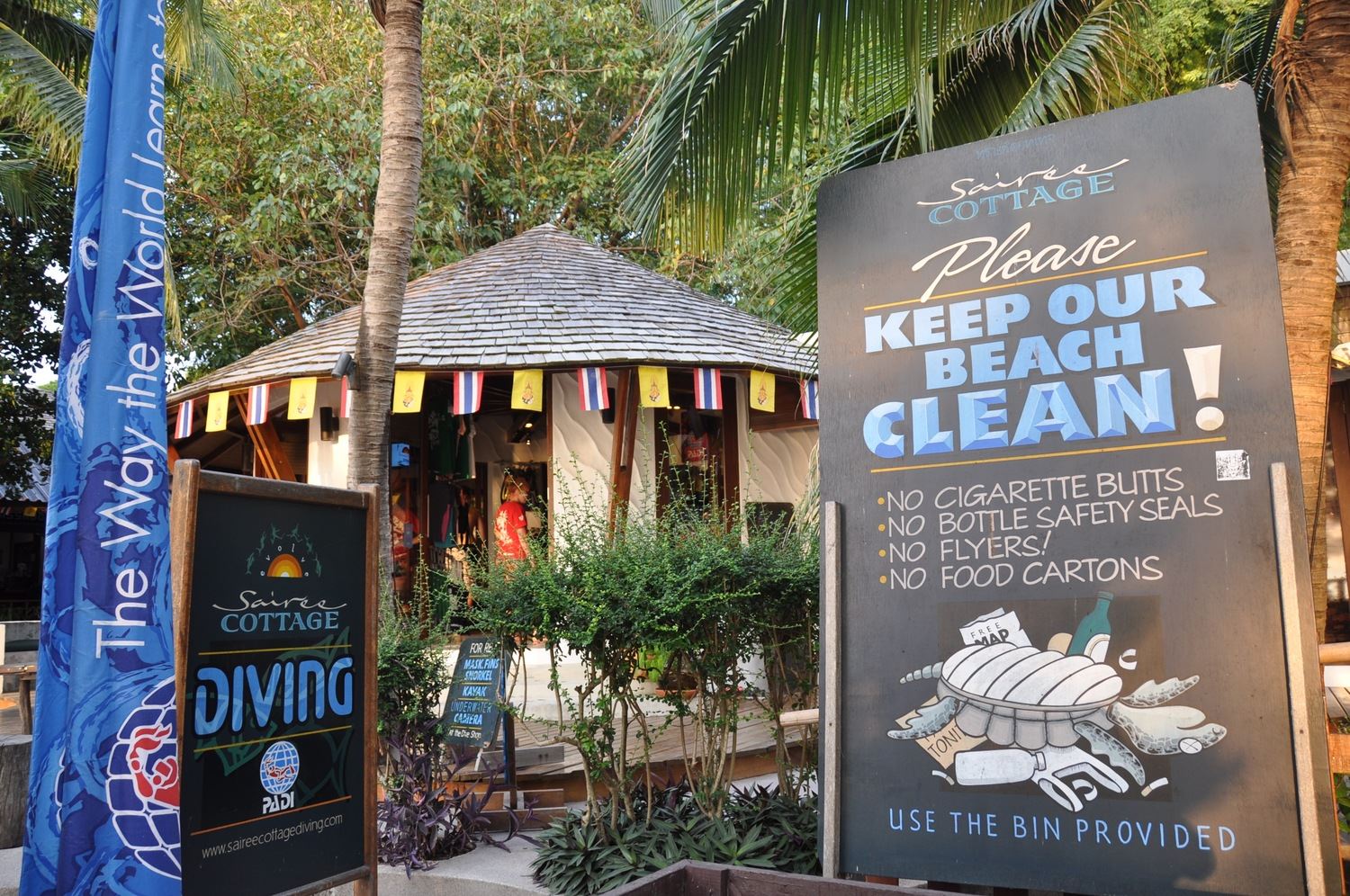 How To Choose A Dive School in Koh Tao Clean Beach