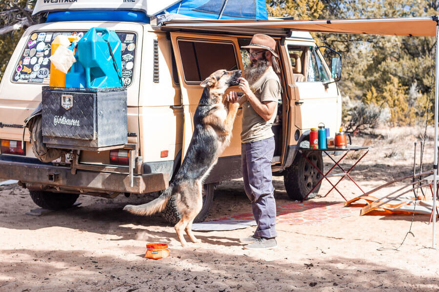 Vanlife with Dogs: Dustin & Amara