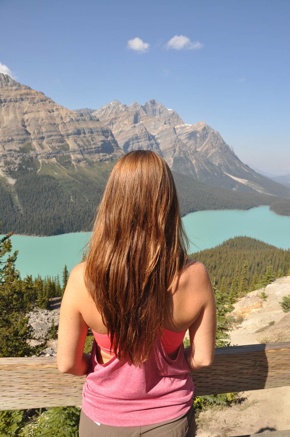 Peyto Lake in Alberta, Canada