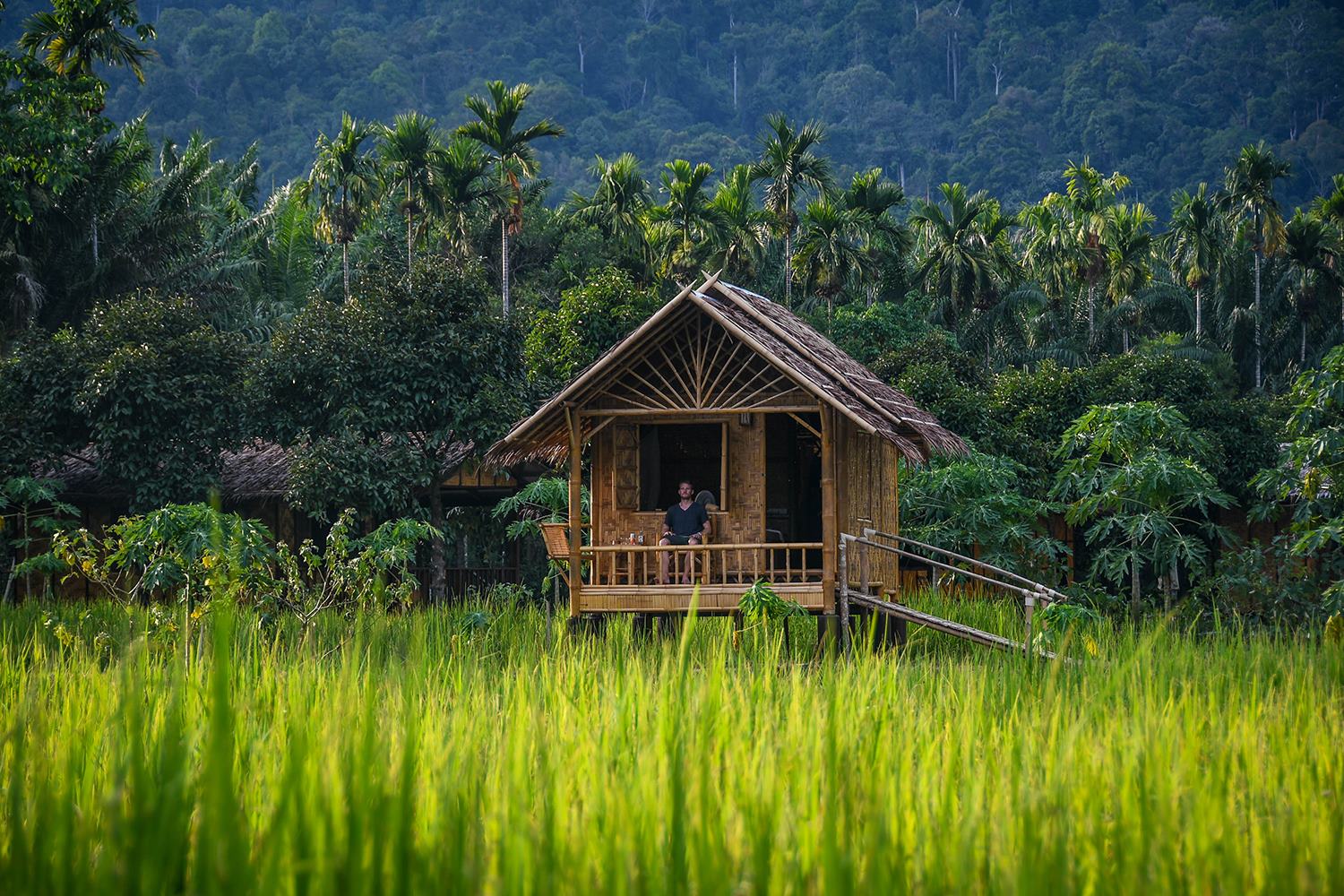 Khao Sok National Park Travel Guide Our Jungle Camp Bamboo Bungalow