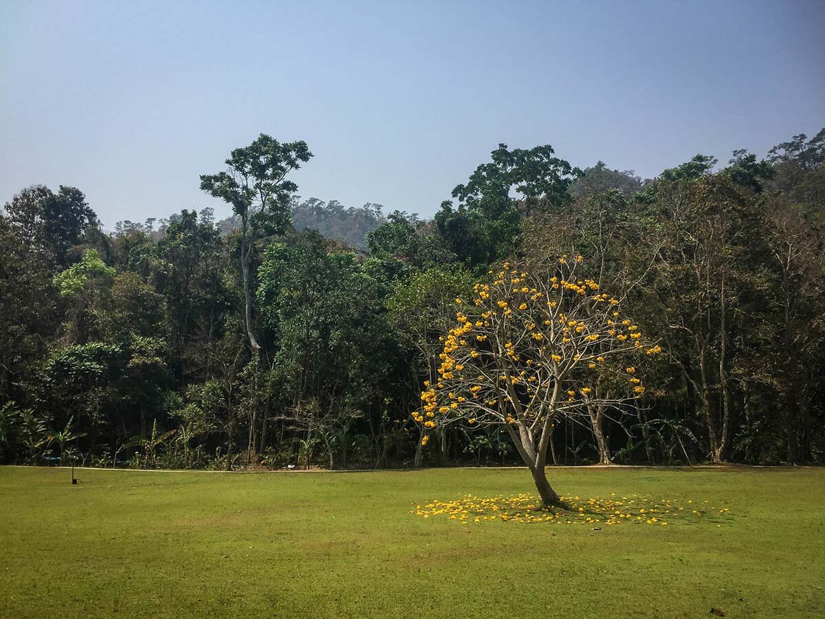 Meditation Retreat Thailand Forest Monastery Wat Pa Tam Wua Meditation Garden