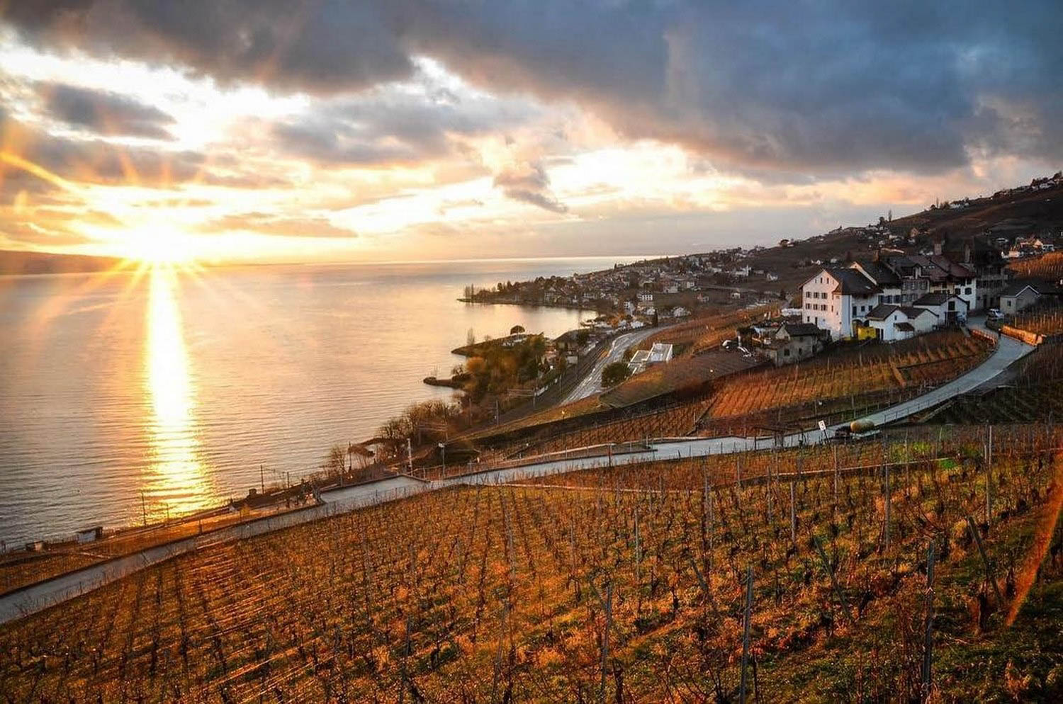 Montreux Riviera Winery in Winter Switzerland Sustainable Tourism