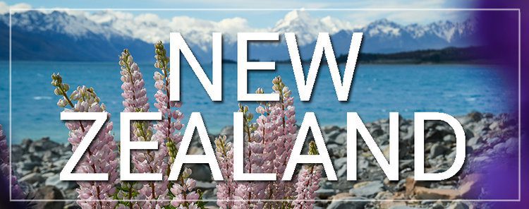New Zealand Lupins and Lake Tekapo