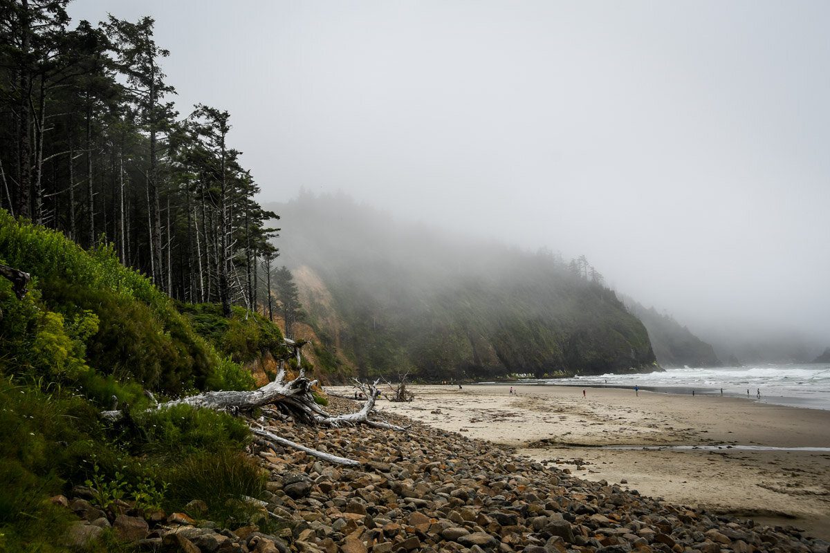 This beach is a short walk from the parking lot at Cape Lookout.