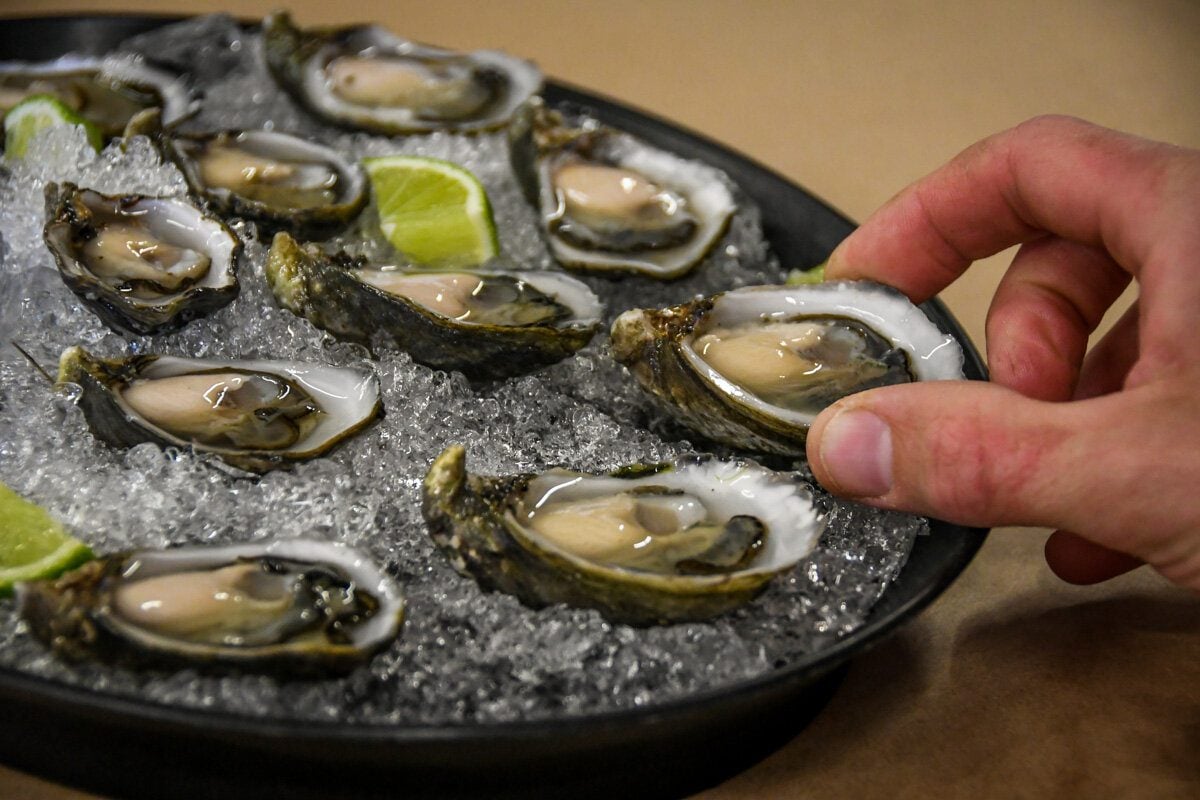 Fresh Oysters Seattle