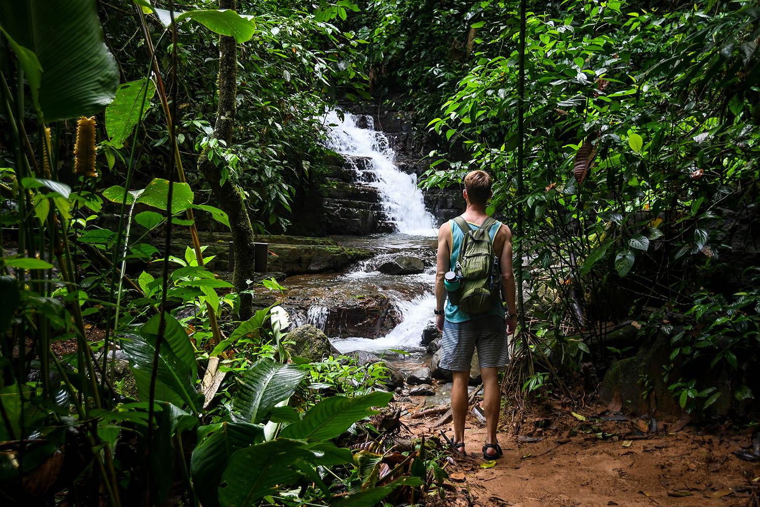 Oxygen Jungle Villas Private Waterfall on Site