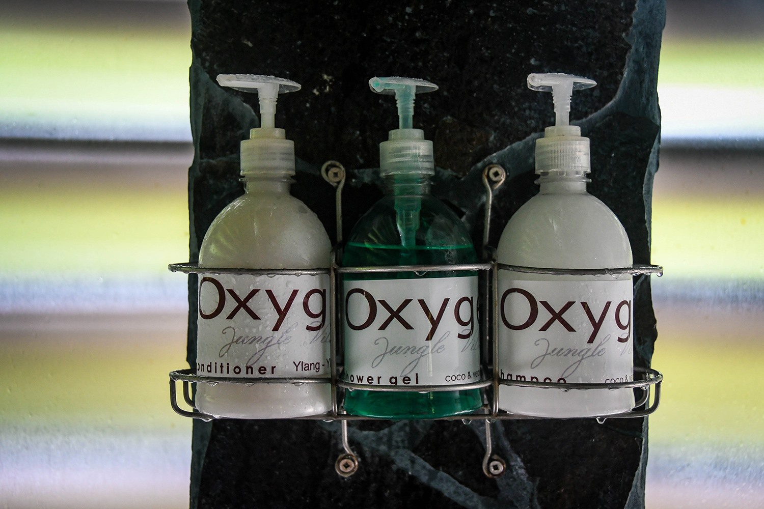 Oxygen Jungle Villas Reusable bottles for Shower