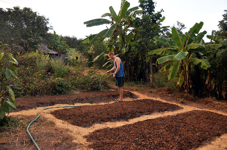 Pai Thailand Organic Farm Volunteering