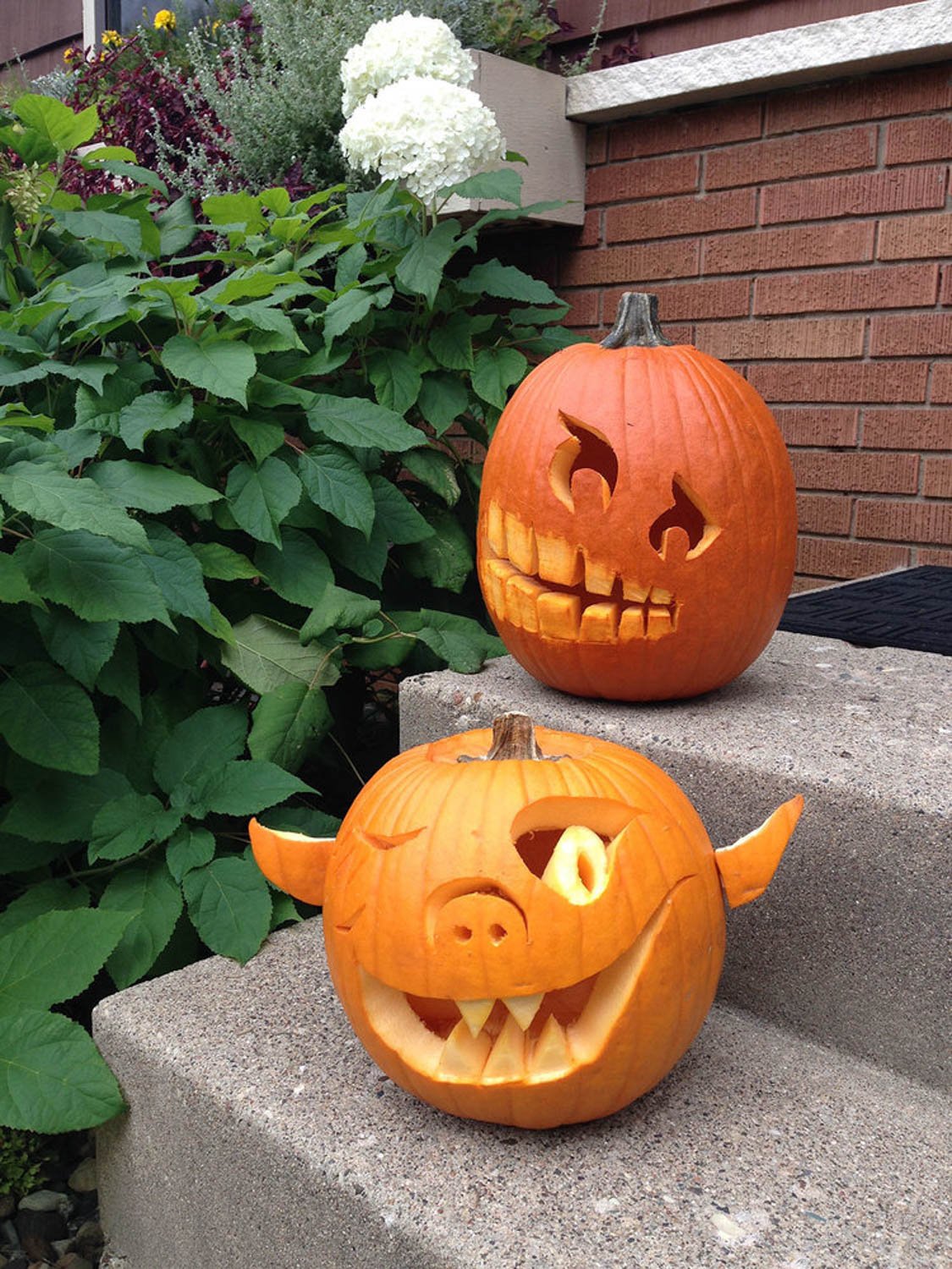 Pumpkin Carving Minnesota Fall