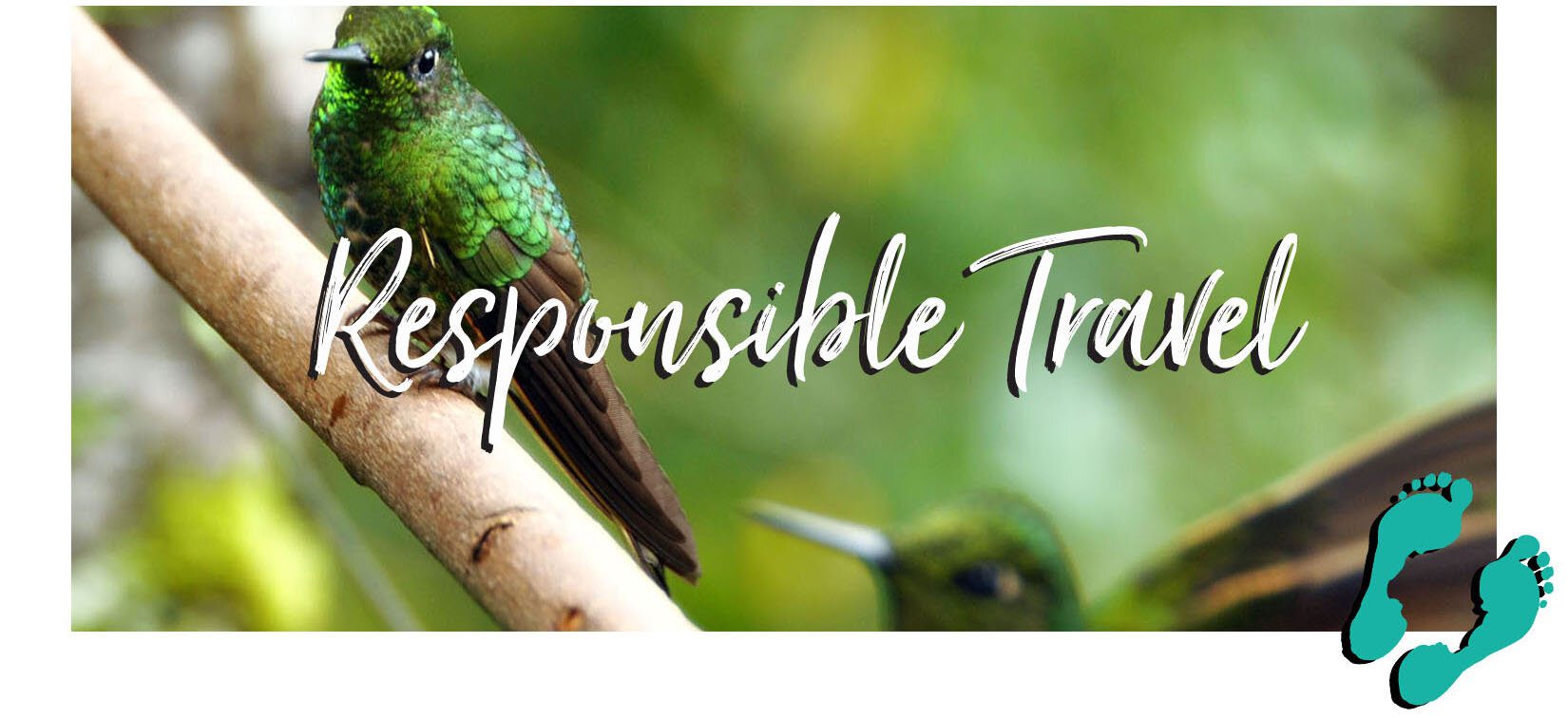 Responsible Travel Tips Blog