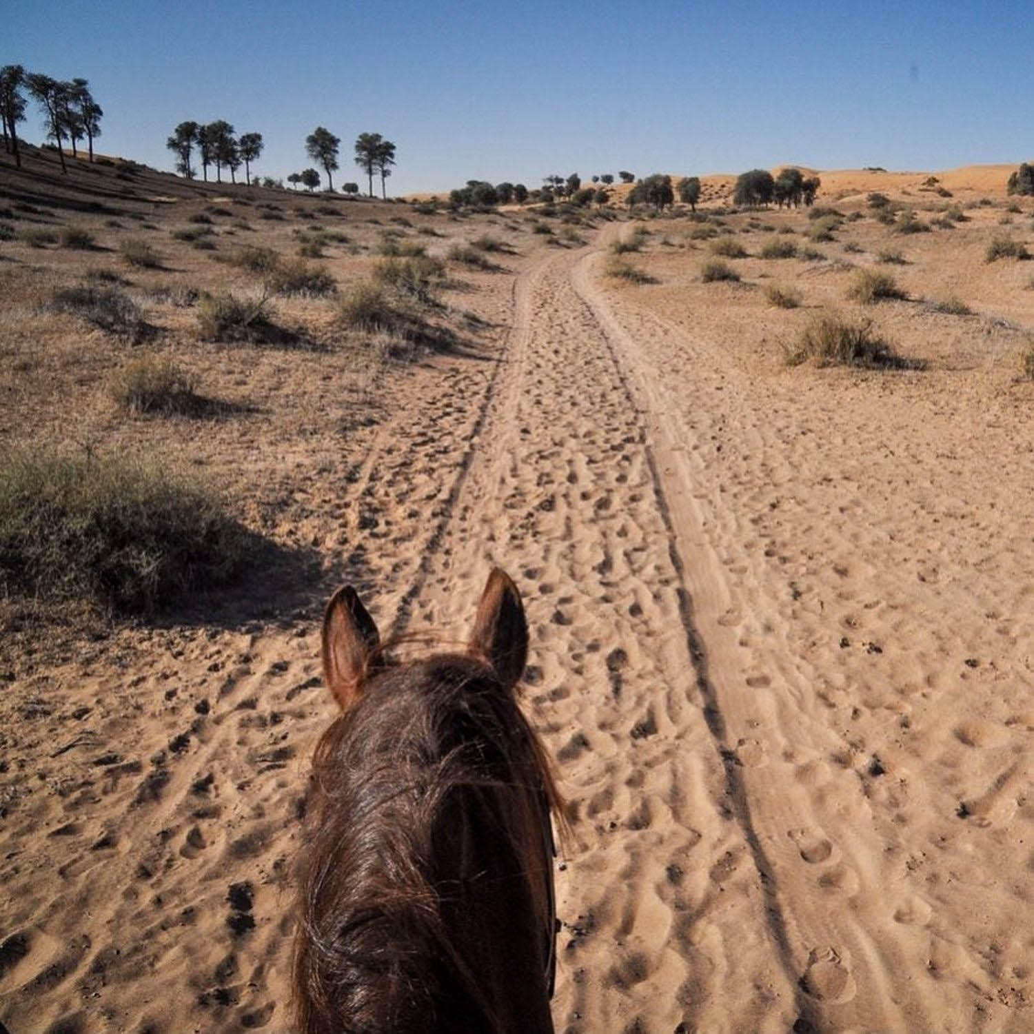 Ritz Carlton Al Wadi Desert Ras Al Khaimah Horseback Riding