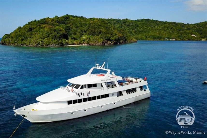 Roatan Aggressor Best Scuba Diving in the World | Image Source: Liveaboard.com