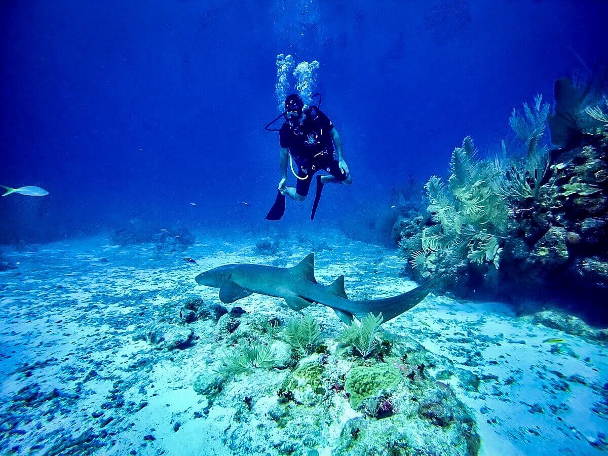 Scuba+Diving+in+Belize+_+Two+Wandering+Soles