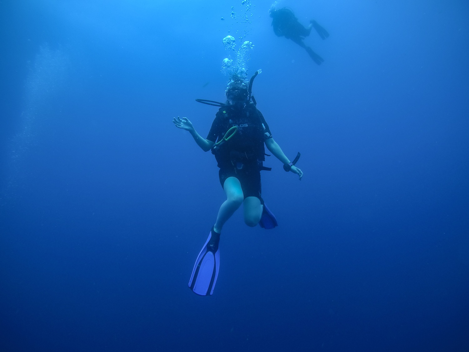 Scuba Diving in Placencia