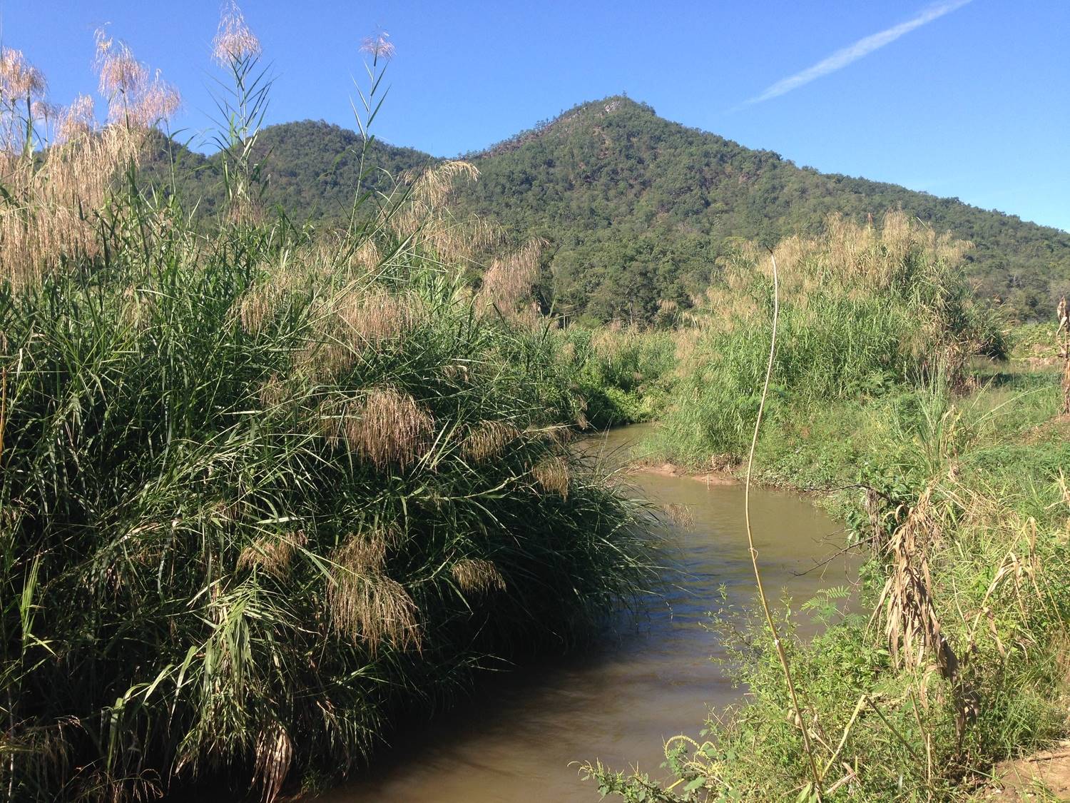 Secret Hot Springs Complete Guide to Pai, Thailand