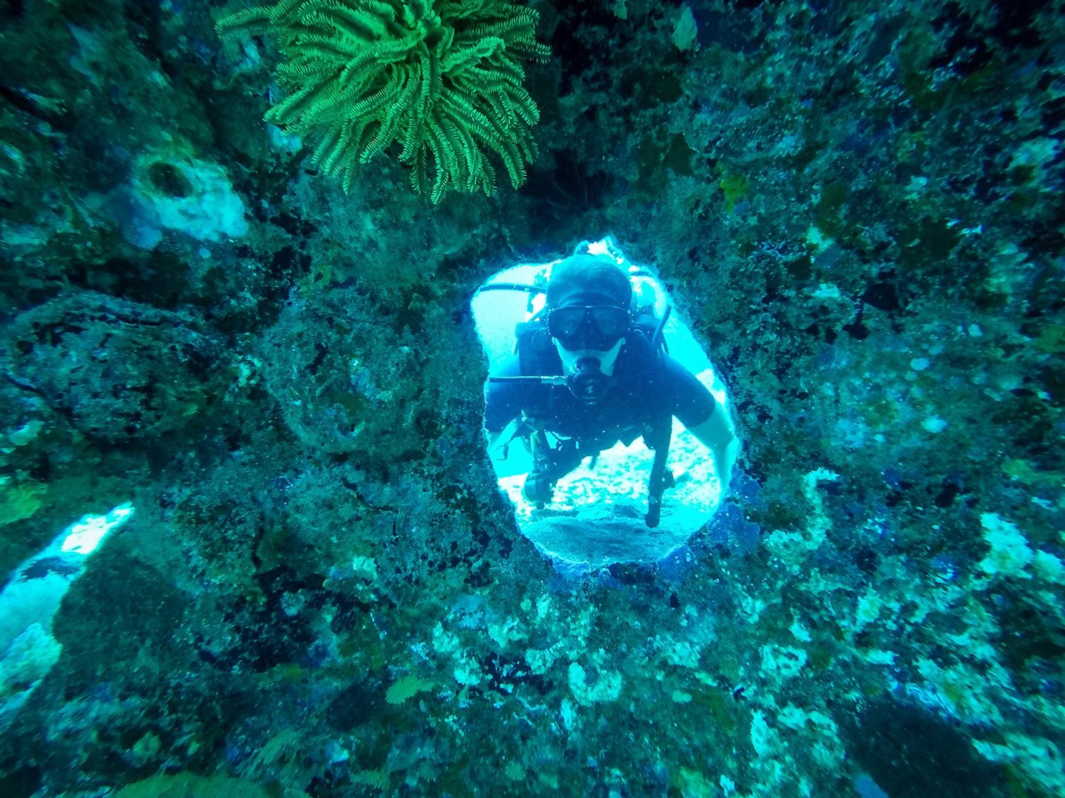 Similan Islands Liveaboard Wicked Diving