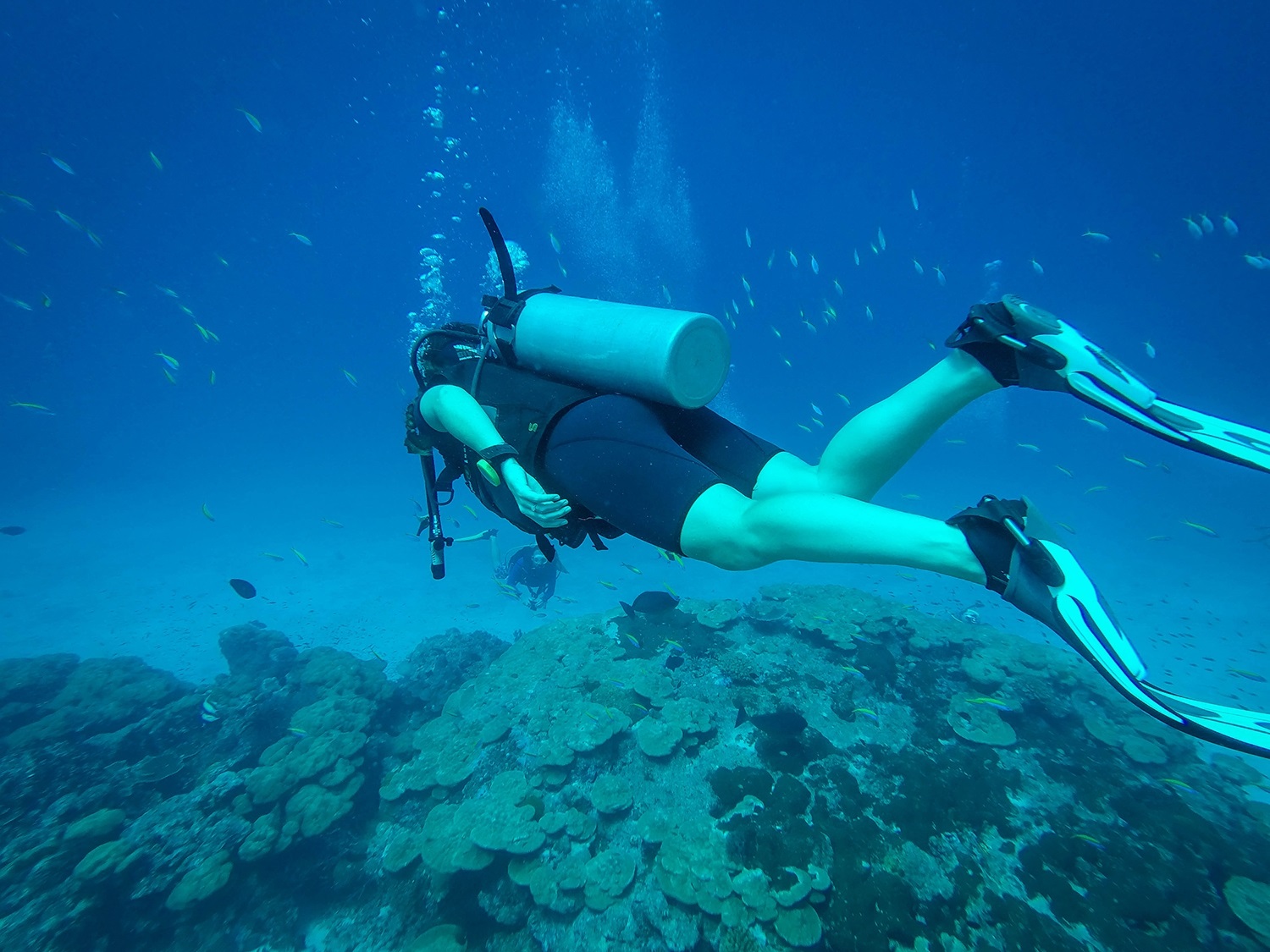 Sustainable Travel Thailand Tips Scuba Diving