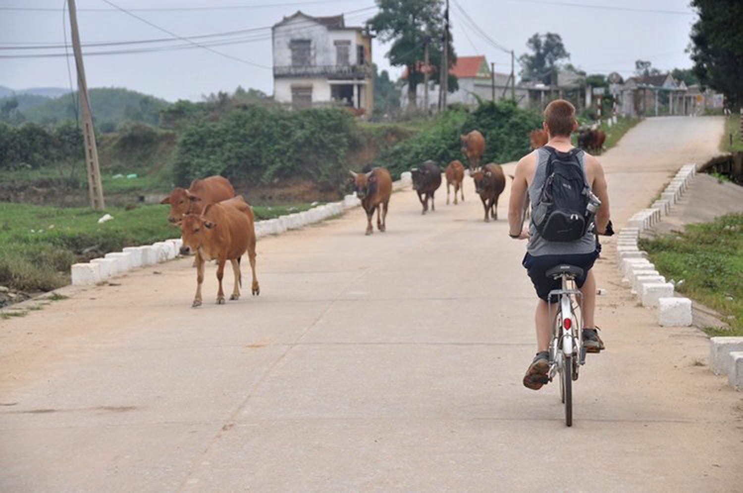 Sustainable Travel bike