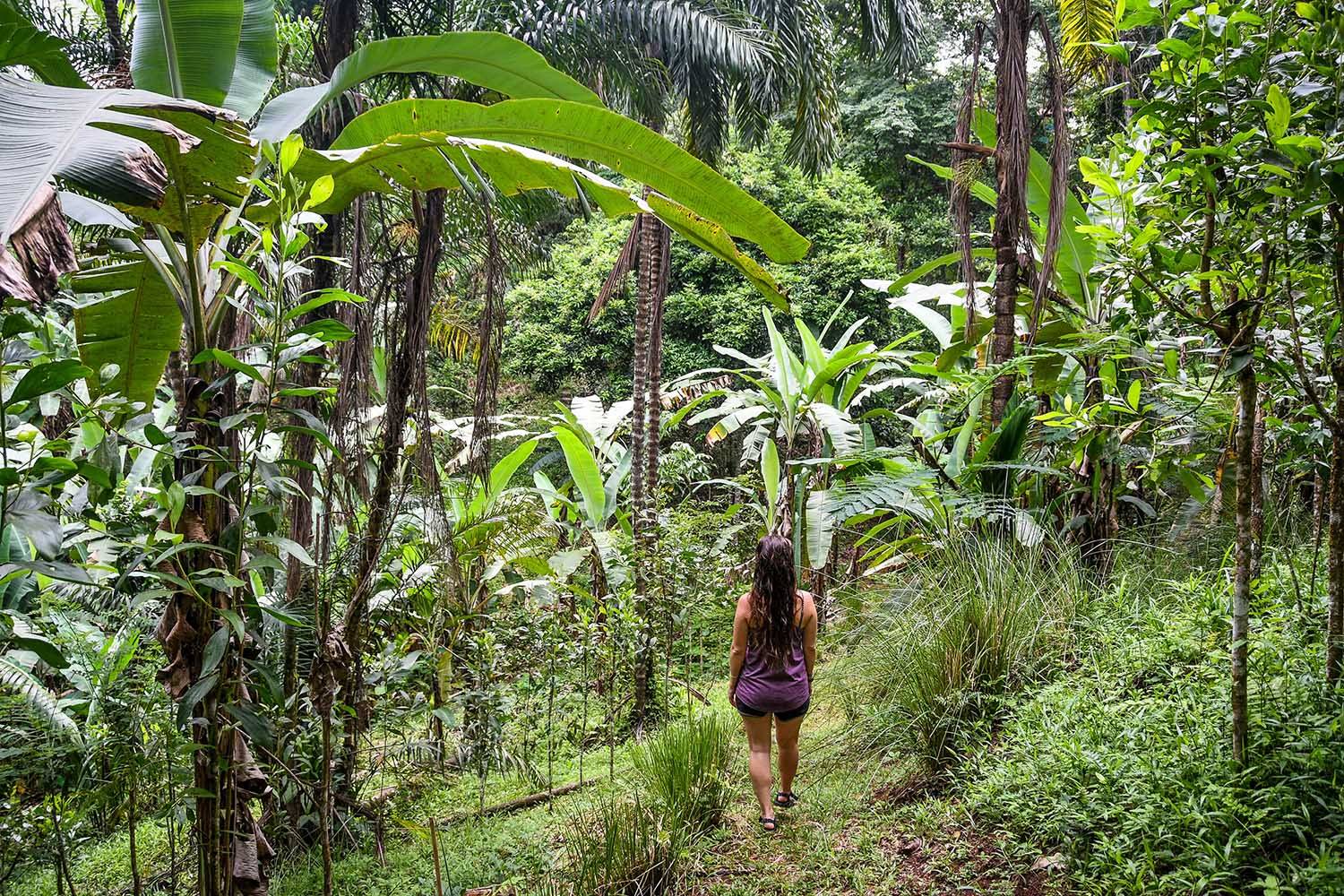 Things to Do in Costa Rica: Go Hiking