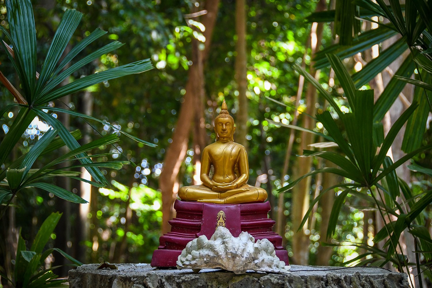Things to Do in Koh Lipe Thailand Island Buddhist Temple Buddha