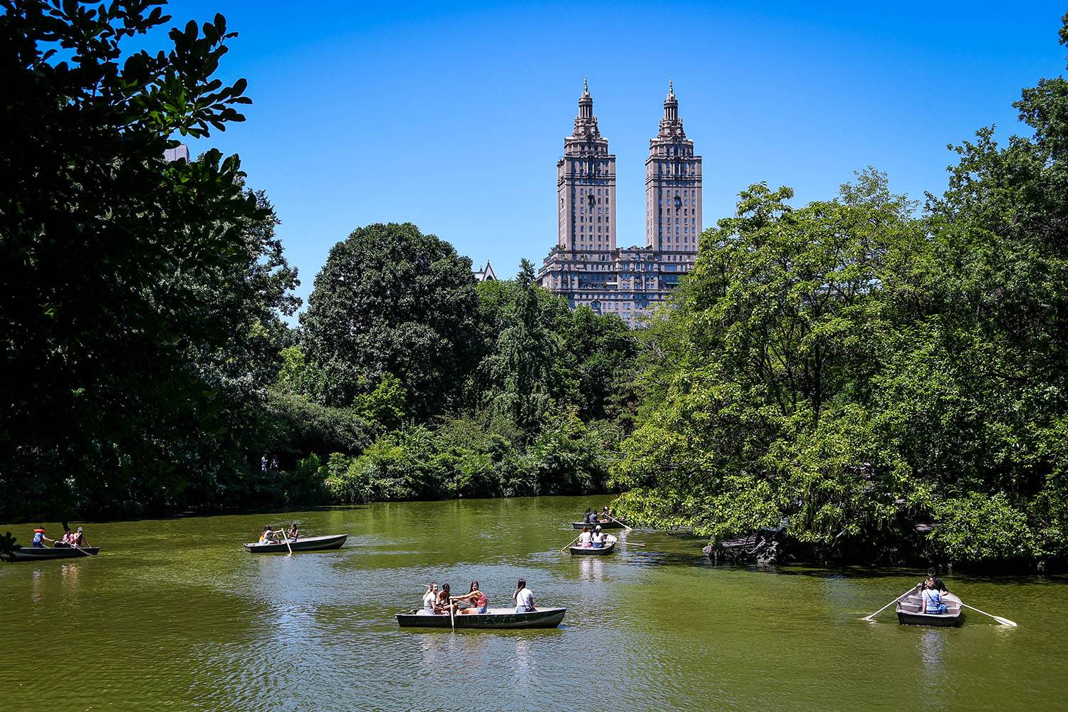 Things to Do in New York City Central Park