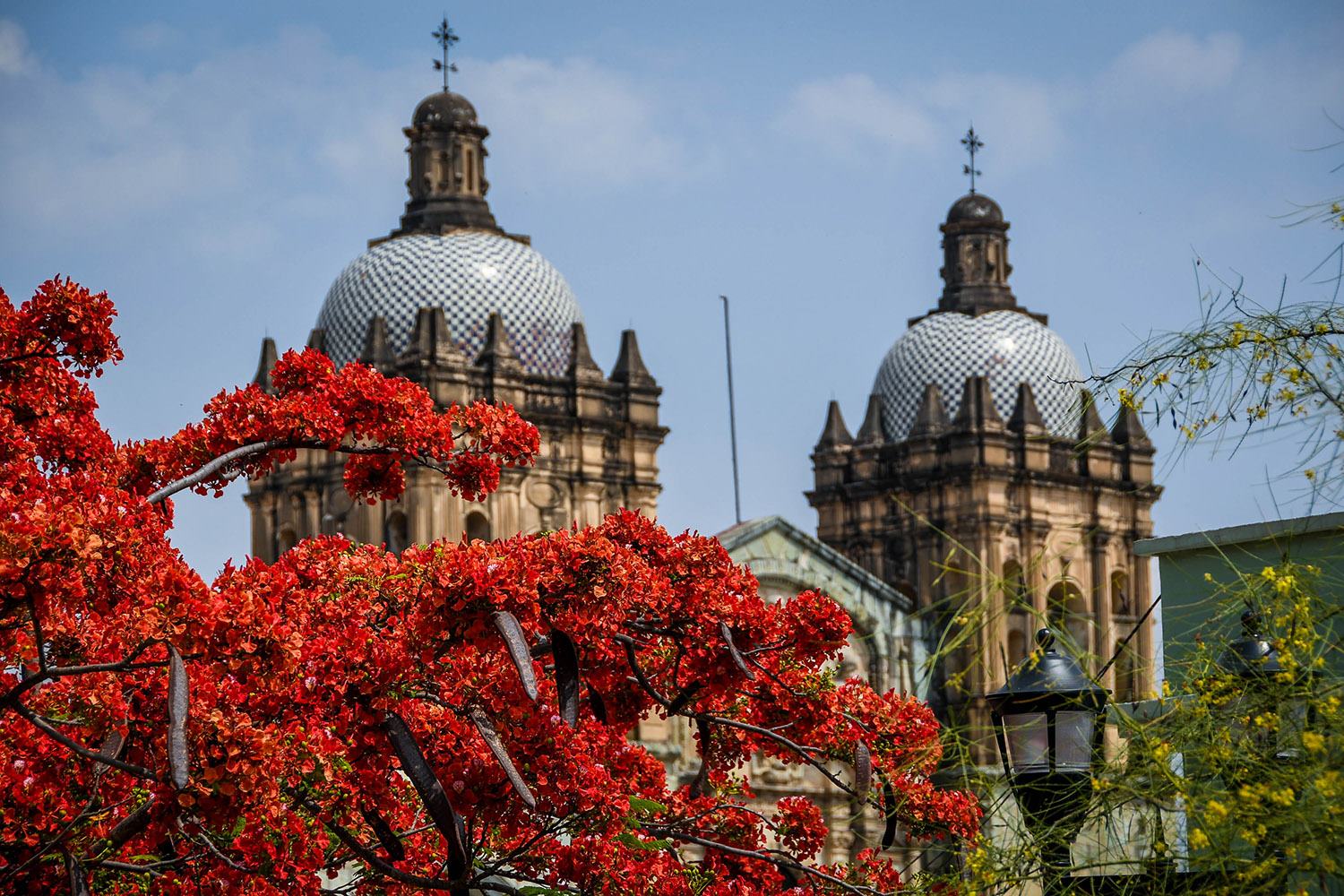 Things to Do in Oaxaca Ethnobotanical Garden