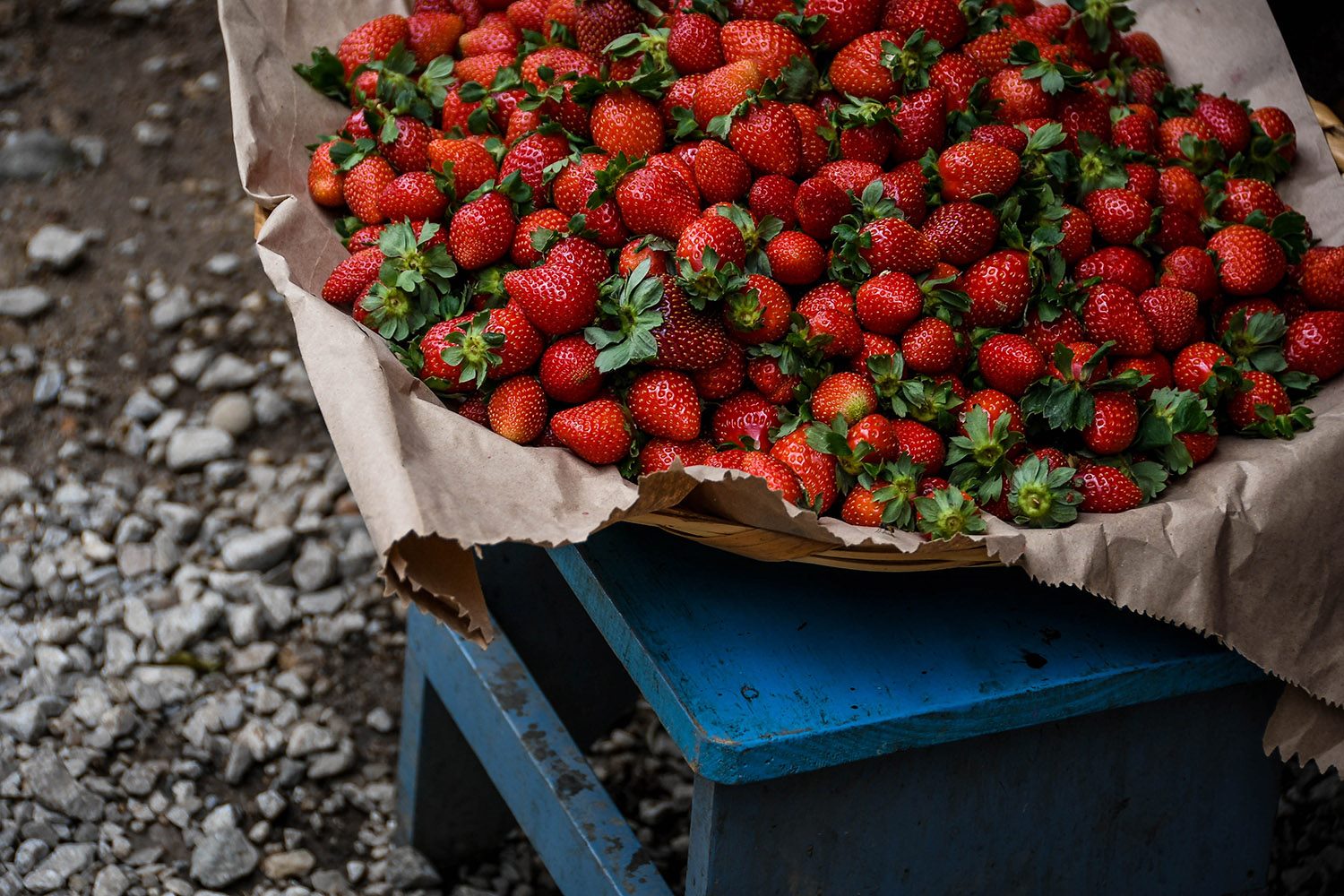 Things to Do in Oaxaca Explore the Markets Organic Market Strawberries
