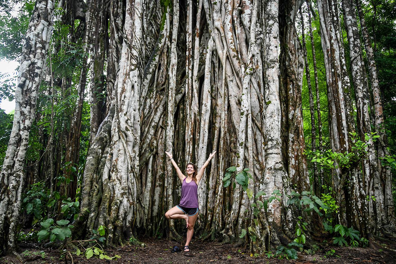 Things to do Santa Teresa and Montezuma tree pose