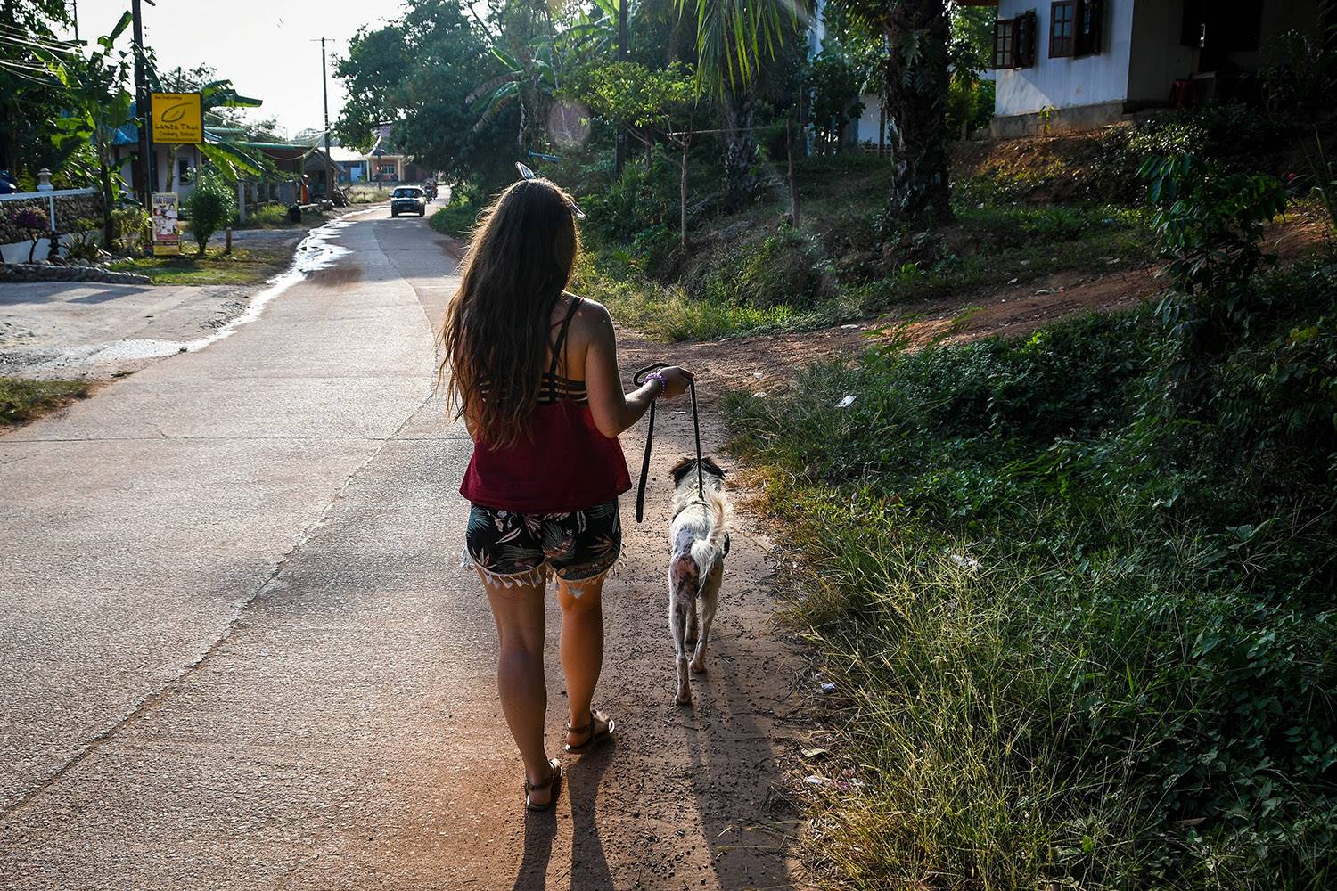 Things to do in Koh Lanta Thailand Lanta Animal Welfare