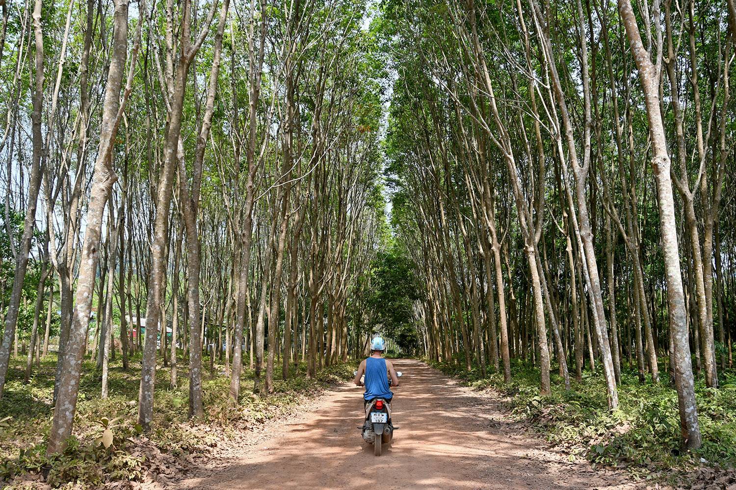 Things to do in Koh Lanta Thailand motorbike