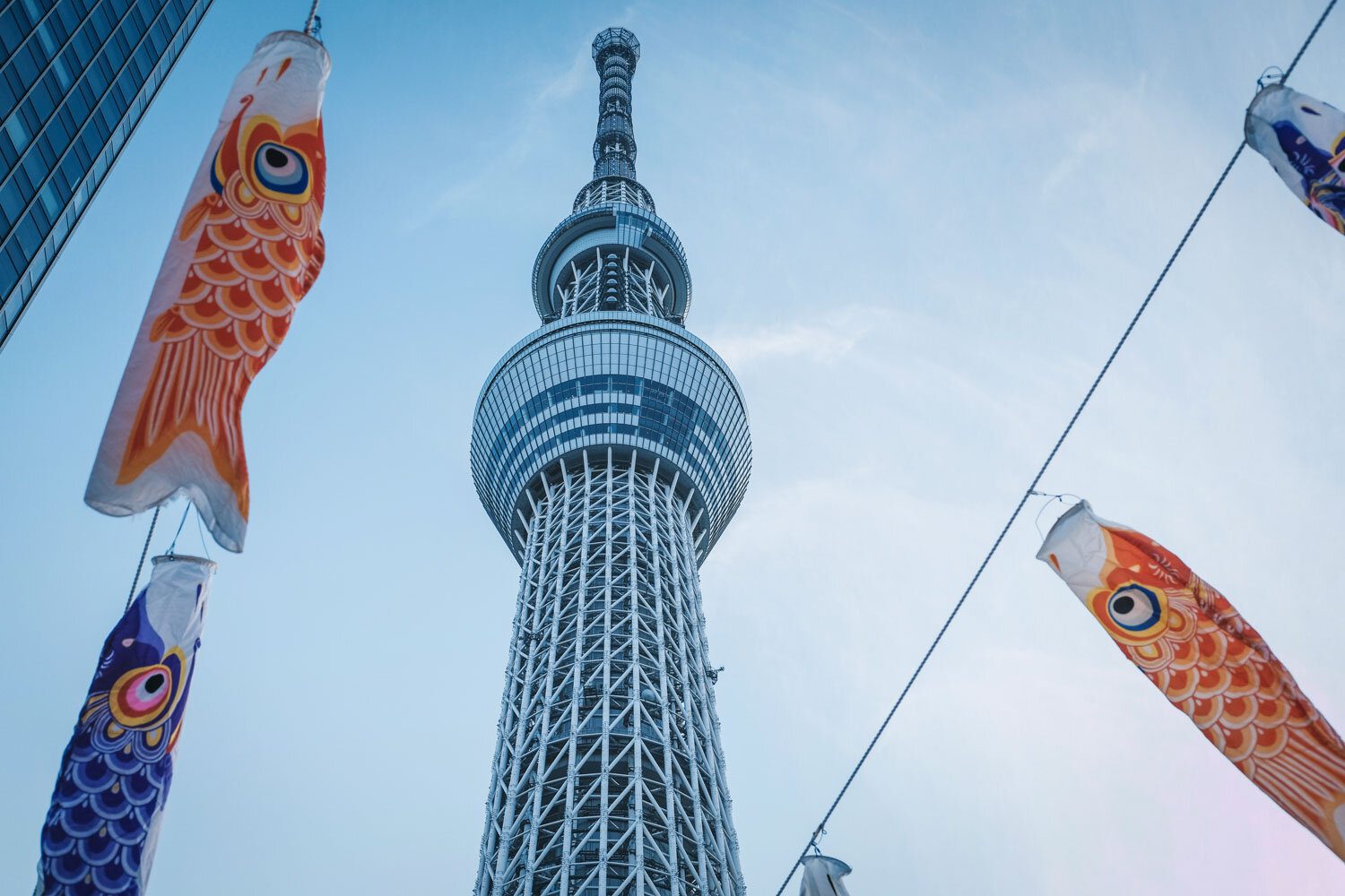 Things to Do in Tokyo Skytree Tower from the Ground