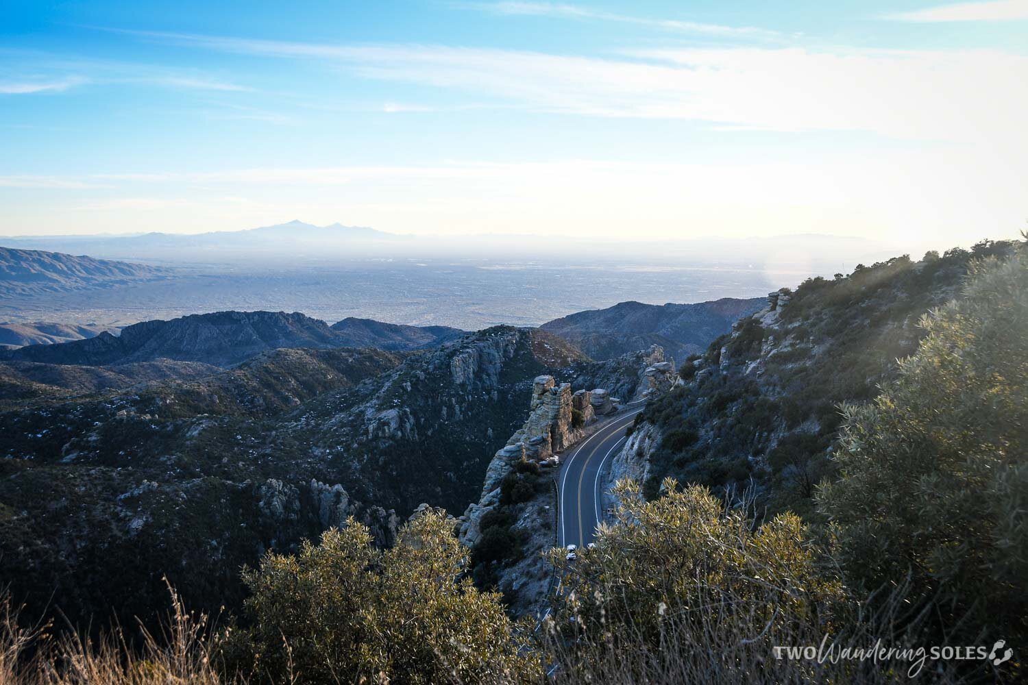 Things to Do in Tucson Mount Lemmon
