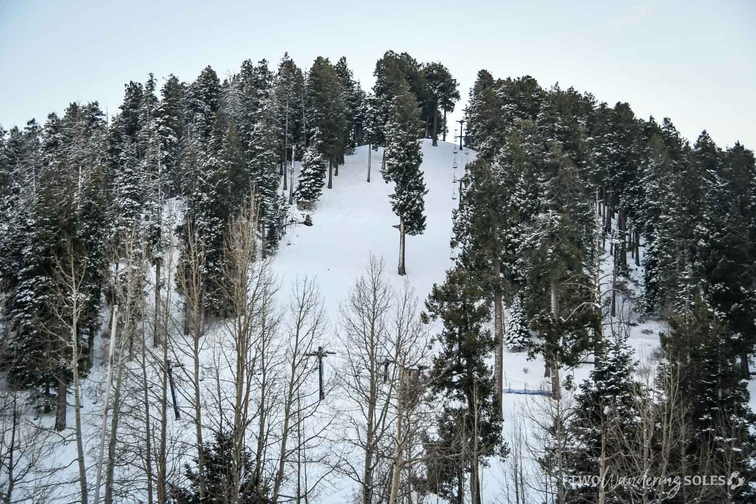 Things to Do in Tucson Mount Lemmon Ski Valley