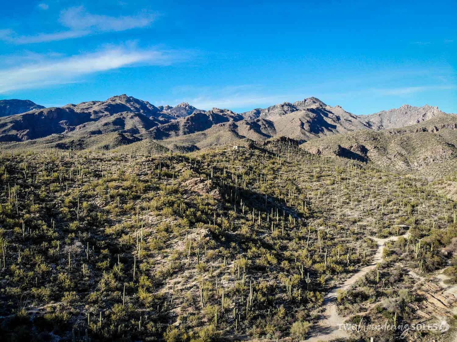 Things to Do in Tucson Sabino Canyon