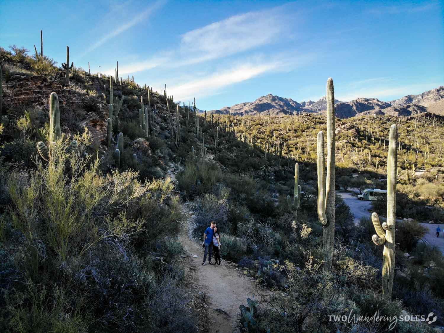 Things to Do in Tucson Sabino Canyon